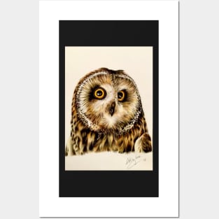 Owl Posters and Art